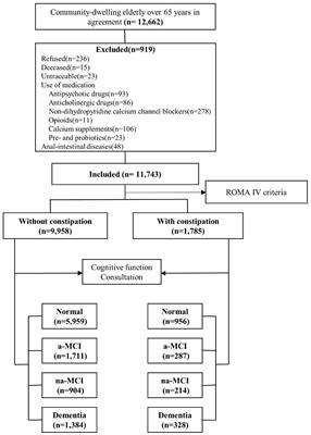 Prevalence of Constipation in Elderly and Its Association With Dementia and Mild Cognitive Impairment: A Cross-Sectional Study